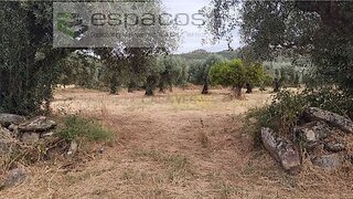 Terreno · 3200 m² · 15 000 €