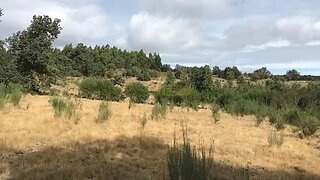 Land for sale in Lamego, Portugal — €42,500