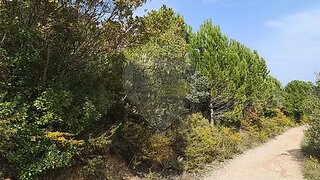 Land for sale in Alcanena, Portugal — €28,000