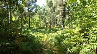 Land for sale in Tondela, Portugal — €25,000