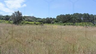 Land for sale in Melgaço, Portugal — €25,000