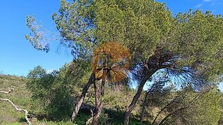Land for sale in Castro Marim, Portugal — €21,000