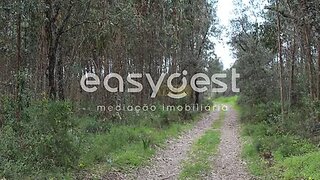 Land for sale in Tomar, Portugal — €15,000