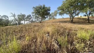 Land for sale in São Brás de Alportel, Portugal — €230,000