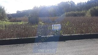 Land for sale in Anadia, Portugal — €35,000