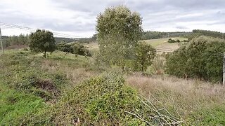 Land for sale in Cadaval, Portugal — €100,000