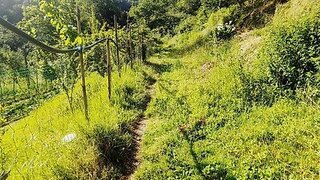 Land for sale in Marco de Canaveses, Portugal — €27,000