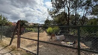 Land for sale in Valongo, Portugal — €75,000