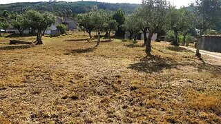 Terreno para venda em Penela, Portugal — 35 000 €