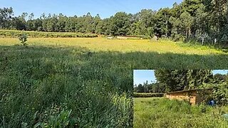 Land for sale in Ponte de Lima, Portugal — €40,000