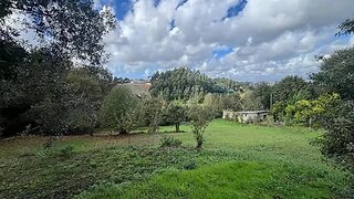 Land for sale in Águeda, Portugal — €67,000