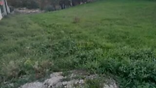 Land for sale in Ourém, Portugal — €55,000