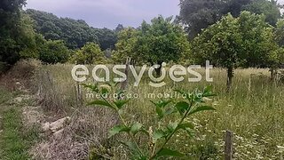 Land for sale in Tondela, Portugal — €92,500