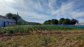 Land for sale in Oliveira do Bairro, Portugal — €58,000