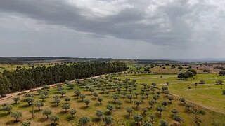 Land for sale in Idanha-a-Nova, Portugal — €920,000