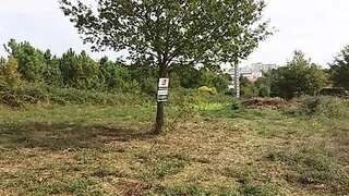 Land for sale in Viseu, Portugal — €42,500