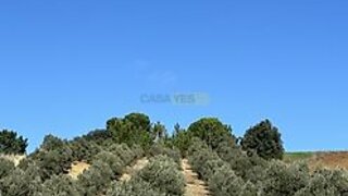 Land for sale in Rio Maior, Portugal — €20,000