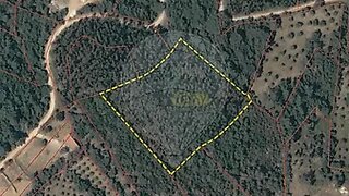 Land for sale in Tomar, Portugal — €12,000