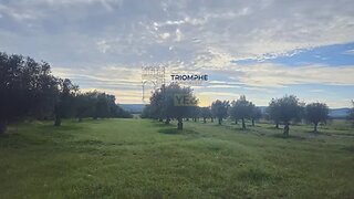 Land for sale in Constância, Portugal — €50,000