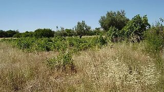 Land for sale in Loulé, Portugal — €81,000