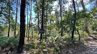 Terreno em Paços de Ferreira