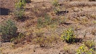Land for sale in Castro Marim, Portugal — €21,000