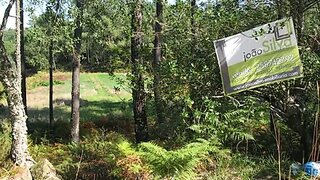Land for sale in Ponte de Lima, Portugal — €95,000