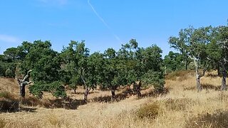 Land for sale in Santiago do Cacém, Portugal — €350,000