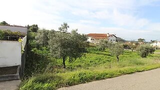 Land for sale in Penacova, Portugal — €62,500