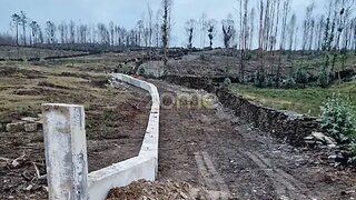 Land for sale in Paredes, Portugal — €950,000