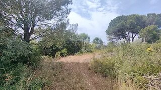 Land for sale in Rio Maior, Portugal — €21,500