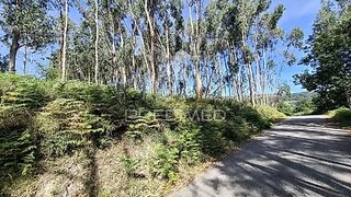 Land for sale in Vila Verde, Portugal — €13,500