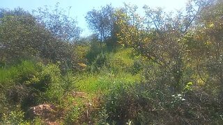 Land for sale in Loulé, Portugal — €149,500