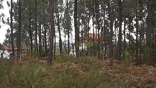 Terreno · 10 000 m² · 130 000 €