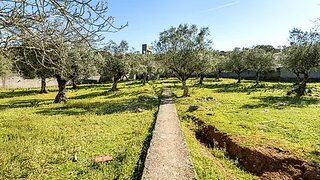Land for sale in Alcanena, Portugal — €98,000