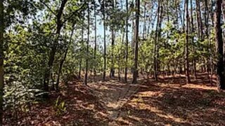 Land for sale in Oliveira de Azeméis, Portugal — €49,000