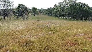 Land for sale in Sabugal, Portugal — €28,500