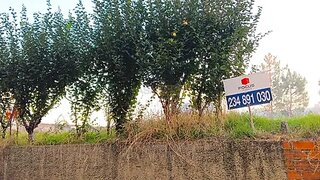 Land for sale in Águeda, Portugal — €60,000