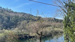 Land for sale in Vieira do Minho, Portugal — €43,500