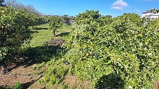 Terreno de 11 400 m² em Faro