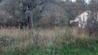 Land for sale in Pombal, Portugal — €7,500