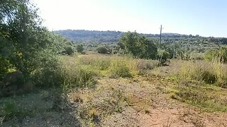 Land for sale in Loulé, Portugal — €56,500