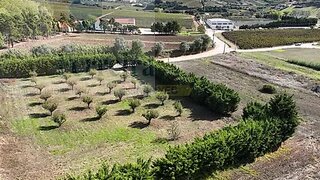 Land for sale in Torres Vedras, Portugal — €480,000