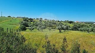 Land for sale in Évora, Portugal — €25,000