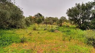 Terreno · 2680 m² · 180 000 €