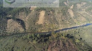 Land for sale in Proença-a-Nova, Portugal — €15,000
