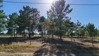 Land for sale in Palmela, Portugal — €100,000