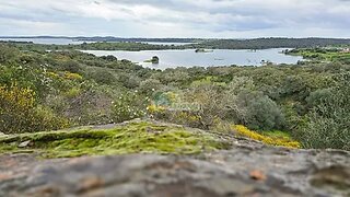 Land for sale in Reguengos de Monsaraz, Portugal — €27,500