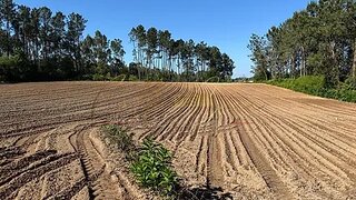 Land for sale in Oliveira do Bairro, Portugal — €21,000