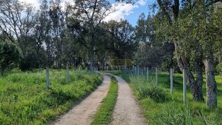 Land for sale in Caldas da Rainha, Portugal — €90,000